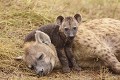 PN de KRUGER - AFRIQUE DU SUD  