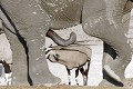  Elephant ; oryx ; perspective ; humour ; Etosha ; Namibie ; Afrique 